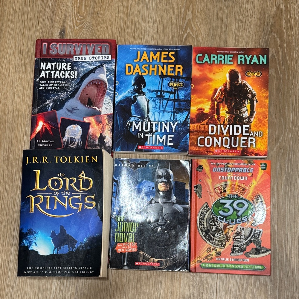 Six Children’s Books - Infinity Ring, The 39 Clues, the Lord of the Rings etc.